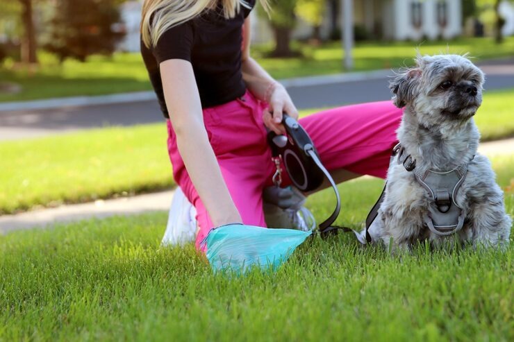 imgi_14_girl-with-dog-outside-girl-is-picking-up-poops-after-her-dog_950466-1509