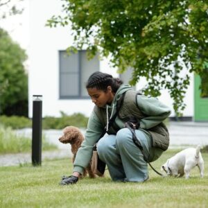 Residential Service – Twice a Week