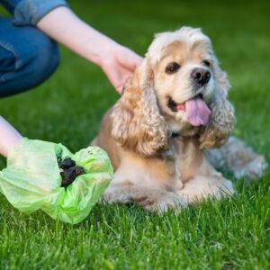 Residential Service – Twice a Week - 2 Dogs